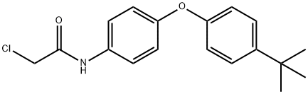 N-[4-(4-叔丁基苯氧基)苯基]-2-氯-乙酰胺 结构式