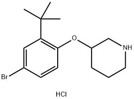 3-[4-Bromo-2-(tert-butyl)phenoxy]piperidinehydrochloride 结构式