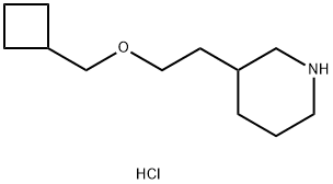 3-[2-(Cyclobutylmethoxy)ethyl]piperidinehydrochloride|