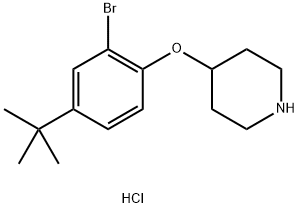 4-[2-Bromo-4-(tert-butyl)phenoxy]piperidinehydrochloride 结构式