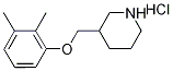 3-[(2,3-Dimethylphenoxy)methyl]piperidinehydrochloride Structure