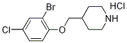 1219972-49-2 4-[(2-Bromo-4-chlorophenoxy)methyl]piperidinehydrochloride