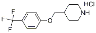4-{[4-(Trifluoromethyl)phenoxy]methyl}piperidinehydrochloride|