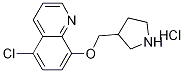 5-Chloro-8-(3-pyrrolidinylmethoxy)quinolinehydrochloride,1219968-04-3,结构式