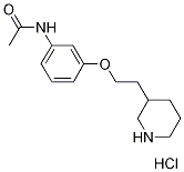 N-{3-[2-(3-Piperidinyl)ethoxy]phenyl}acetamidehydrochloride Structure