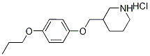 3-[(4-Propoxyphenoxy)methyl]piperidinehydrochloride 结构式