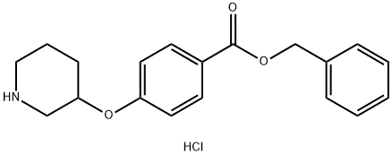 Benzyl 4-(3-piperidinyloxy)benzoate hydrochloride 结构式