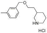 3-{2-[(3-Methylbenzyl)oxy]ethyl}piperidinehydrochloride,1219967-94-8,结构式