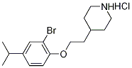 4-[2-(2-Bromo-4-isopropylphenoxy)ethyl]piperidinehydrochloride|