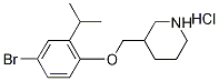 3-[(4-Bromo-2-isopropylphenoxy)methyl]piperidinehydrochloride,1220021-03-3,结构式