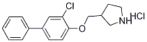 3-Chloro[1,1'-biphenyl]-4-yl 3-pyrrolidinylmethyl-ether hydrochloride 化学構造式