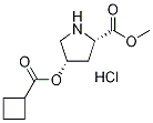 Methyl (2S,4S)-4-[(cyclobutylcarbonyl)oxy]-2-pyrrolidinecarboxylate hydrochloride Structure