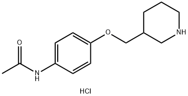 N-[4-(3-Piperidinylmethoxy)phenyl]acetamidehydrochloride Structure