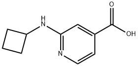 2-(Cyclobutylamino)isonicotinic acid Structure