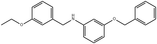 3-(Benzyloxy)-N-(3-ethoxybenzyl)aniline 结构式