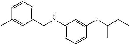 3-(sec-Butoxy)-N-(3-methylbenzyl)aniline|