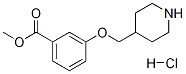 1184976-73-5 Methyl 3-(4-piperidinylmethoxy)benzoatehydrochloride