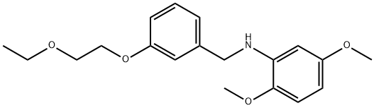 N-[3-(2-Ethoxyethoxy)benzyl]-2,5-dimethoxyaniline 结构式