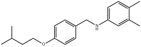 N-[4-(Isopentyloxy)benzyl]-3,4-dimethylaniline 结构式