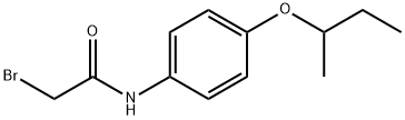 2-Bromo-N-[4-(sec-butoxy)phenyl]acetamide,1138442-55-3,结构式