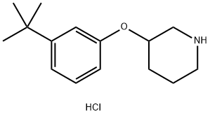 3-[3-(tert-Butyl)phenoxy]piperidine hydrochloride Structure
