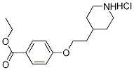 Ethyl 4-[2-(4-piperidinyl)ethoxy]benzoatehydrochloride 结构式