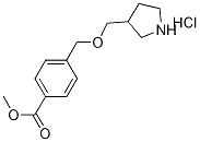 Methyl 4-[(3-pyrrolidinylmethoxy)methyl]benzoatehydrochloride Structure