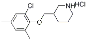 3-[(2-Chloro-4,6-dimethylphenoxy)methyl]-piperidine hydrochloride 结构式