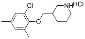 3-[(2-Chloro-4,6-dimethylphenoxy)methyl]-piperidine hydrochloride|