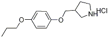 3-[(4-Propoxyphenoxy)methyl]pyrrolidinehydrochloride Structure