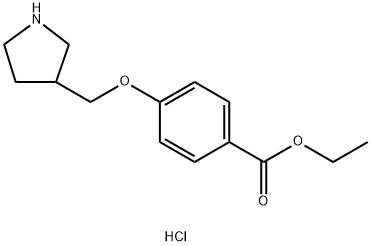 Ethyl 4-(3-pyrrolidinylmethoxy)benzoatehydrochloride Struktur