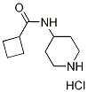 N-(4-Piperidinyl)cyclobutanecarboxamidehydrochloride