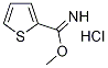 Thiophene-2-carboximidic acid methyl ester hydrochloride 化学構造式