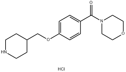 4-[4-(Piperidin-4-ylmethoxy)benzoyl]morpholine hydrochloride Struktur
