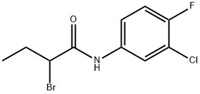 2-Bromo-N-(3-chloro-4-fluorophenyl)butanamide Structure