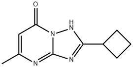 2-Cyclobutyl-5-methyl[1,2,4]triazolo-[1,5-a]pyrimidin-7(4H)-one 化学構造式