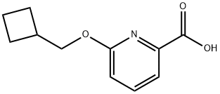 6-(Cyclobutylmethoxy)pyridine-2-carboxylic acid Struktur