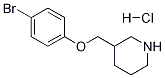 3-[(4-BROMOPHENOXY)METHYL]PIPERIDINE HYDROCHLORIDE Structure