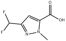 3-(DIFLUOROMETHYL)-1-METHYL-1H-PYRAZOLE-5-CARBOXYLIC ACID|3-(二氟甲基)-1-甲基-1H-吡唑-5-羧酸
