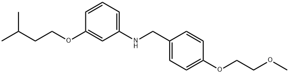 3-(Isopentyloxy)-N-[4-(2-methoxyethoxy)benzyl]-aniline 结构式