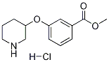 Methyl 3-(3-piperidinyloxy)benzoate hydrochloride Structure