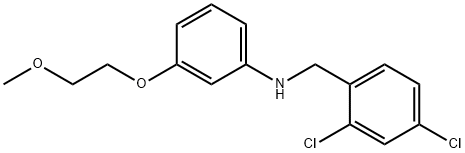 N-(2,4-Dichlorobenzyl)-3-(2-methoxyethoxy)aniline Struktur