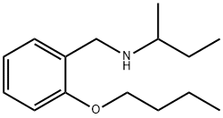 N-(2-Butoxybenzyl)-2-butanamine Structure