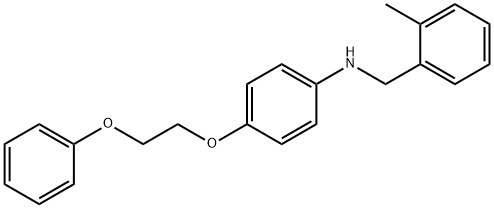 1040690-82-1 N-(2-Methylbenzyl)-4-(2-phenoxyethoxy)aniline