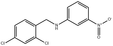 N-(2,4-dichlorobenzyl)-N-(3-nitrophenyl)amine Structure