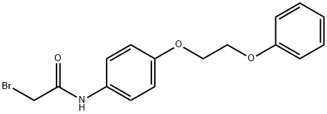 2-Bromo-N-[4-(2-phenoxyethoxy)phenyl]acetamide Struktur
