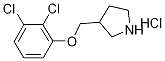 3-[(2,3-Dichlorophenoxy)methyl]pyrrolidinehydrochloride,1219949-17-3,结构式