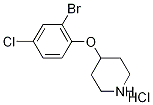 4-(2-Bromo-4-chlorophenoxy)piperidinehydrochloride 结构式