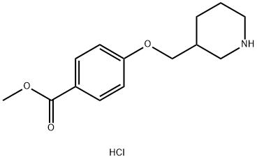 Methyl 4-(3-piperidinylmethoxy)benzoatehydrochloride 化学構造式