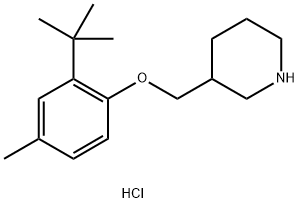 3-{[2-(tert-Butyl)-4-methylphenoxy]-methyl}piperidine hydrochloride|